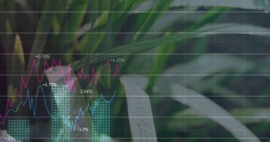 Finansal tabloları tropikal yapraklar üzerinde üst üste koyarak, morumsu ve açık mavi çizgiler ve deniz mavisi çizgileri gösteriyorlar. Bilgi, veri görselleştirme, doğa, çevre dostu, canlı, büyüme, sürdürülebilirlik