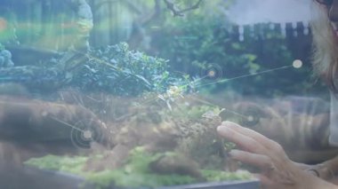 Bonsai yosunlarına ulaşan kadın, dal açısını ayarlarken teknoloji ağı düğümlerine neden oluyor. Botanik, bahçıvanlık, farkındalık, dijital, doğa, dinginlik, işçilik