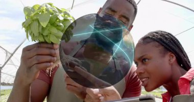 Sera tıkırtısı tabletinde dönen fesleğen ve kadın kök haritası analizi gösteriyor. Bahçecilik, tarım, dijital, sürdürülebilir, modern, takım çalışması, yenilik