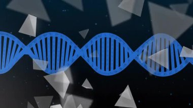 Başlangıçta mavi DNA sarmalı titreşirken üçgen parçalar moleküler dinamiği göstermek için kıvrılır. Bilim, biyoteknoloji, moleküler, yenilik, fütürist, dijital, görselleştirme