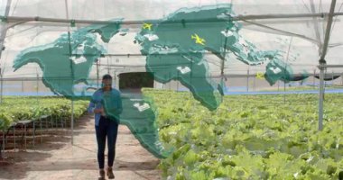 Seraya girmek, tarımsal uçuşları etkinleştirmek ya da takvim kaplaması yapmak ve marulu tablet üzerinde izlemek. Bahçecilik, tarım, kentsel tarım, sürdürülebilir, çevre dostu, modern, botanik