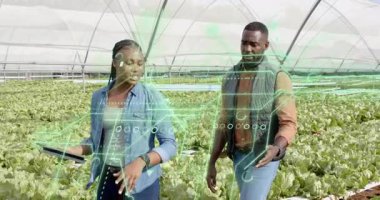 Kadın tableti tıkırdatıyor ve holografik büyüme ölçümlerini izliyorken erkek sera sırasını takip ediyor. Tarım, teknoloji, fütüristik, yenilik, işbirliği, hassasiyet, sürdürülebilirlik