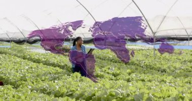 Teknisyen yürüyen sera tıkırdatma tableti, ekinleri denetleme ve mor harita örtüsünü etkinleştirme. Sera, tarım, teknoloji, sürdürülebilirlik, veri analizi, araştırma, modern tarım