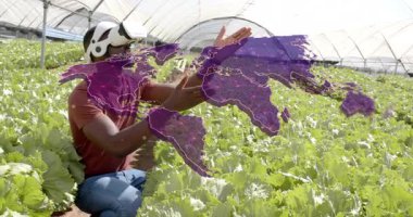 Tarım teknisyeni, serada VR kulaklık kullanıyor. Dünya haritasını etkinleştiriyor, ekin planlıyor. Hassas tarım, yenilikçi teknoloji, çevre dostu, fütüristik, veri görselleştirme, bahçıvanlık, öğretici deneyim