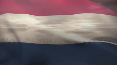 Hafif bir rüzgar kırmızı şeritleri kaldırıyor ve beyaz mavi renkte dalgalanarak çim ufkunu gösteriyor. Vatanseverlik, açık hava, manzara, esinti, kumaş, sembolizm