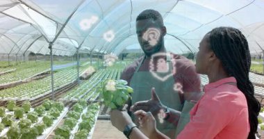 Meslektaşım verileri incelerken fesleğen kaldıran kadın sera yalakalarının üzerine simgeleri aktifleştiriyor. Hidrofonik, kentsel tarım, hassas tarım, teknoloji, sürdürülebilirlik, işbirliği, modern