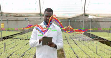 Agronomi araştırmacısı tablet tıklayarak serada tohum sağlığını takip eden dalga formlarını canlandırıyor. Botanikçi, tarım, teknoloji, veri, yenilik, büyüme, sürdürülebilir