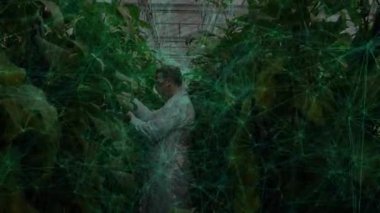 Bitki bilimci, sera çatısının altındaki sıraya uzanarak Yapay Zeka 'nın üst üste bindirdiği verileri yakalıyor. Botanik, bahçıvanlık, otomasyon, yenilik, araştırma, çevre, teknoloji