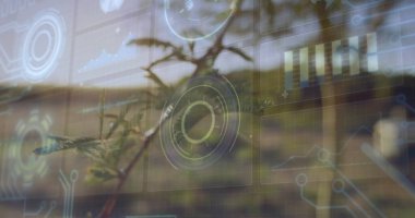 Arka bahçede yüzen kozalaklı ağaç dalları gösteriliyor, arayüz örtüleri ve çizelgeler gösteriliyor. Doğa, teknoloji, fütüristik, veri görselleştirme, açık hava, dijital, yenilik