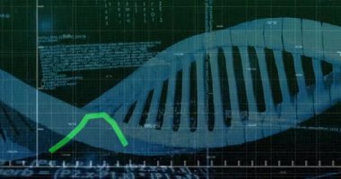 Kod akımları veri çıktısını gösterirken DNA sarmalını döndüren yeşil çizelge sol kenarda ortaya çıkıyor. Biyoteknoloji, bilimsel, geleceksel, dijital, yenilik, araştırma, görselleştirme