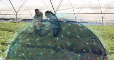 Agritech ekibi yaprak ve tıkırtı tabletini işaret ederek dijital ağ örtüsü tarama serasını başlatıyor. Teknoloji, işbirliği, yenilik, sürdürülebilirlik, bahçıvanlık, veri görselleştirme, modern