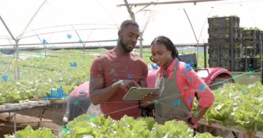 Kadın marul ölçümlerini incelerken erkek tableti tıklatıyor ve tarım verilerini üst üste koyuyor. Teknisyenler, hassas tarım, kapalı tarım, veri analizi, dijital tarım, bahçıvanlık, sürdürülebilir tarım