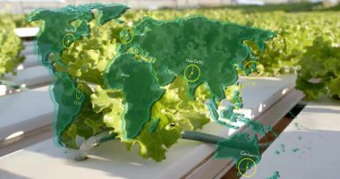 İkinci haritada, hidroponik marul yalağı küresel zaman dilimlerini görselleştiren saatleri gösteriyor. Kentsel tarım, sürdürülebilir tarım, modern bahçıvanlık, çevre dostu tasarım, çevre teknolojisi, hassas tarım, küresel bağlantı