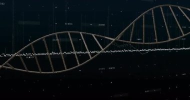 DNA sarmalının görüntüye girmesi ve parçacıkları hizalaması veri akışını gösteren sayısal etiketleri solduruyor. Moleküler, biyoteknoloji, geleceksel, dijital, yenilik, bilimsel, teknoloji
