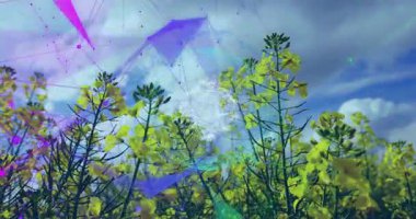 Hardal alanı sallanıyor. Mor yüzeylerin yörüngesinde dönen ağ küresini ortaya çıkarıyor. Yeşil şekilleri birleştiriyor. Teknoloji, yenilik, dijital, fütüristik, soyut, bağlantı, çevre