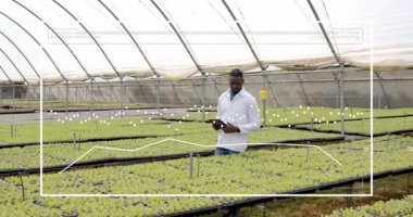 Bitki bilimci serada tablet çalışıyor, tohum sağlığını değerlendirmek için animasyon taraması yapıyor. Bahçecilik, yenilik, teknoloji, ekoloji, araştırma, sürdürülebilirlik, tarım