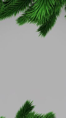 Yeşil noel ağacı dalları ve gri arka planda kopyalama alanı. Noel şenliği ve kutlama konsepti