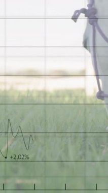 Üzerinde finansal veriler ve grafik animasyonları olan at otluyor. Maliye, tarım, çiftlik hayvanları, analiz, ekonomi, borsa
