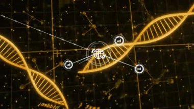 Altın sarmal ızgarada beliriyor beyaz çizgiler temizliyor, veri simgeleri ekliyor ve ağ oluşturuyor. Biyoteknoloji, veri görselleştirme, dijital ağ, bilimsel, yenilik, gelecekçi, moleküler