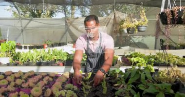 Kreş yetiştiricisi akıllı olanı kontrol ediyor. Yaprak sağlığını güvence altına alan kaplamalarla sulu saksıları yeniliyor. Bahçecilik, sera, dijital arayüz, otomasyon, sürdürülebilir, modern, bahçecilik