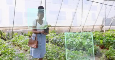 Kadın seraya giriyor ve metal rafların yanındaki tuğla koridorda saksı yapraklı bitki seçiyor. Botanik, bahçıvanlık, sürdürülebilir, yaşam tarzı, doğal, modern, büyüme