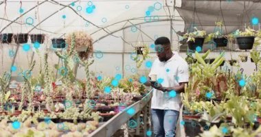 Seraya giren orta yaşlı bir adam sulu suları teftiş ederken aynı zamanda kahveyi yudumluyor ve akıllı telefonu inceliyor. Botanik, bahçıvanlık, rahatlama, modern, açık hava, dalgınlık, boş zaman