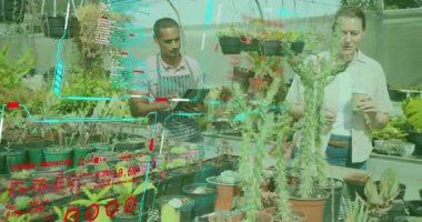 Fabrika tezgahına ulaşan kadın müşteri, erkek satıcı tıkırtısı tableti, seçim için kaktüs bilgisi gösteriyor. Bahçıvanlık, yaşam tarzı, modern, perakende, açık hava, doğal, neşeli