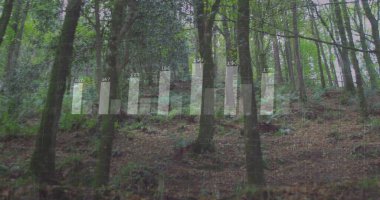 Orman yamacında şeffaf bar tablosu, ızgara çizgileri, ağaç gövdeleri ve etiketleriyle gösteriliyor. Doğa, vahşi doğa, veri görselleştirme, ormancılık, çevre, analitik, sürdürülebilirlik