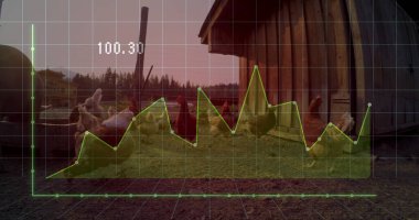 Kırsal çiftlik avlusunda kümes ve horoz sürüsünün üstündeki çizgi grafiği gösteriliyor. Çiftlik, kümes hayvanları, kırsal, doğa, açık hava, veri, analiz