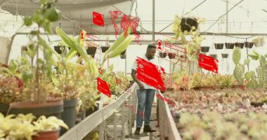 Bahçıvanların sulu ürünleri taraması, AR panelleri için akıllı telefonları dinlemesi türlerin fiyatlarını gösteriyor. Teknoloji, yenilik, tarım, bahçıvanlık, dijital, görselleştirme, çevre