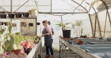 Seraya giren çocuk bakıcıları mor tencere seçiyorlar ve kalite kontrolü için sulu şeyler ekiyorlar. Bahçıvanlık, botanikçilik, bahçıvanlık, işçilik, yeşillik, takım çalışması, doğal
