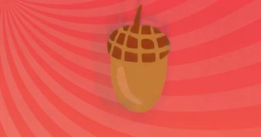 Radyal kırmızı, pembe girdaplı meşe palamudu görüntüye giriyor, eğiliyor ve dönüyor, sergileniyor. Doğa, illüstrasyon, grafik, tasarım, soyut, desen, organik