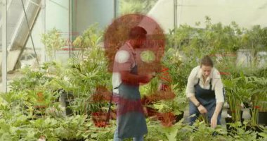 Erkek bahçıvan, seradaki kadın bahçıvana bitki sağlığını denetliyor. Botanik, bahçıvanlık, sürdürülebilirlik, tarım, yeşillik, doğa, profesyonel