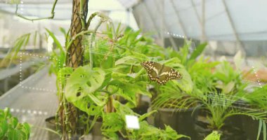 AR, delinmiş yaprak üzerinde kelebek etrafında maddeleşerek tropikal yaprak yapısını tarıyor. Doğa, biyolojik çeşitlilik, ekoloji, gelecek, yenilik, teknoloji, çevre