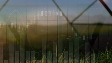 Manzara üzerinde finansal veri işleme animasyonu. Küresel finans, iş, bağlantılar, hesaplama ve veri işleme kavramı dijital olarak oluşturulmuş video.