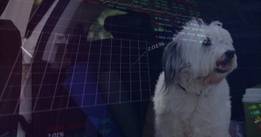 Mavi yakalı bir köpek oturuyor, araba koltuğuna bakıyor, tabloları ve kahve fincanlarıyla. Köpek, döşeme, kentsel, analitik, çağdaş, teknoloji, yaşam tarzı