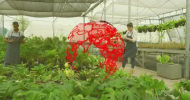 Meslektaşının not teknisyeninin verileri sera büyümesini izlemek için kullanması üzerine. Botanik, araştırma, yenilik, büyüme, sürdürülebilir, profesyonel, teknoloji