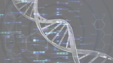 Başlangıçta DNA sarmalı hex ızgarasında döner ve dizilimi görselleştirirken ışığı titretir. Fütürist, bilimsel, teknoloji, dijital, moleküler, yenilik, biyoenformatik