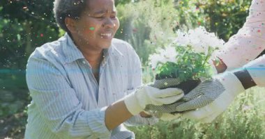 Babası kızına saksı çiçeği uzatıyor, o da bahçeyle uğraşmak için diz çöküyor. Bahçıvanlık, bahçıvanlık, yetiştirme, botanik, açık hava, doğa, huzur