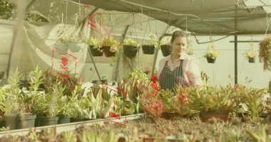 Bahçe işçisi yüzen kötü amaçlı yazılım uyarısı almış sulu suları budamış ve serada güvenliği sağlamış. Sera, bahçıvanlık, sulu bitkiler, bahçecilik, doğa, sağlık, kırsal kesim.