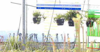 Borsa grafikleri görselleştirirken kameranın çanak çömlek üzerinde çalışmaya başlamasını güncellemek. Bahçecilik, sürdürülebilirlik, veri görselleştirme, çevre dostu, doğal ışıklandırma, kentsel tarım, modern tarım