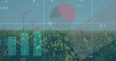 Sarı çiçekli bitki örtüsü tarlalarda rüzgar türbinlerini sunuyor, turta ve çubuk grafik verileri var. Yenilenebilir enerji, sürdürülebilirlik, tarım manzarası, veri görselleştirme, çevre dostu, çevresel teknoloji, kırsal kalkınma