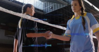 Spor salonunda sportmenlik gösteren kadın voleybolcuların ellerini ağ ve tribünlerle bağlamak. Sporcular, takım çalışması, rekabetçi, birlik, güç, enerji, kararlılık