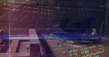 Bahçedeki tel çitlerin yanında duran küçük beyaz köpek paletleri, mali örtüleri, fotokopi alanı var. Rustik, kırsal, açık hava, dijital, analitik, finansal, veri görselleştirmesi