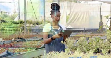 Bahçeciler elinde tablet tutarken AR teknisyenleri cam seranın içindeki tohum verilerini takip ediyor. Tarım, yenilik, teknoloji, çevre dostu, hassas tarım, sürdürülebilir, kapalı alanda tarım