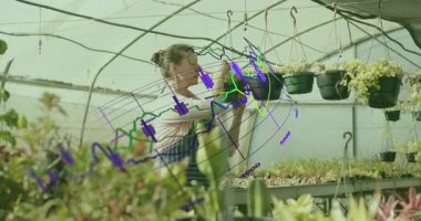 Sera işçisi sepet kaldırıyor, yaprakları inceliyor, sarmaşıkları döndürüyor ve bitki sağlığı için çözülüyor. Botanik, bahçıvanlık, fidanlık, tarım, yeşillik, büyüme, çevre dostu