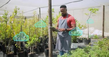 Erkek çocuk bakıcısı tablet ekranı tıklatıyor ve tohum sağlığını izleyen bulut simgelerini etkinleştiriyor. Botanik, tarım, dijital, sürdürülebilir, bahçıvanlık, teknoloji, açık hava