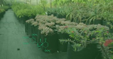 Sulu sularda yüzen ve solan moleküler örtüler gibi detayları ortaya çıkaran kameralar. Botanik, bahçıvanlık, çevre dostu, büyüme, yenilik, doğa, tasarım