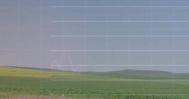 Alan üzerinde şema ve veri işleme animasyonları. Küresel iş, doğa ve dijital arayüz kavramı, dijital olarak oluşturulmuş video.