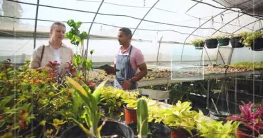 Kadın bitki bakım odasına giriyor ve çalışanlar tablete dokunurken sulu bitkilere işaret ediyor. Botanik, bahçıvanlık, sürdürülebilir, botanik terapi, şehir yeşilliği, çevre dostu, organik